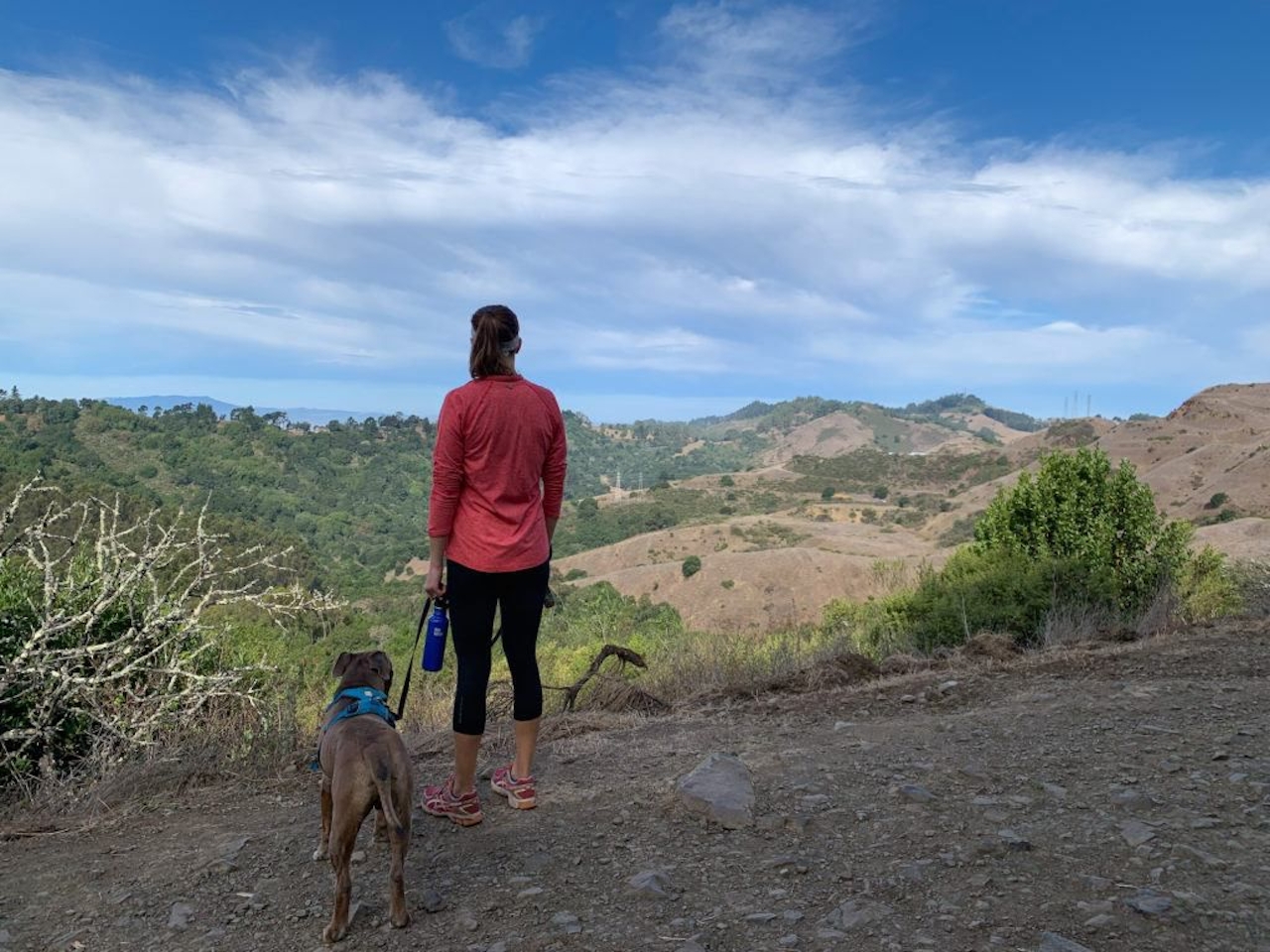 Hike Sibley Volcanic Regional Preserve 