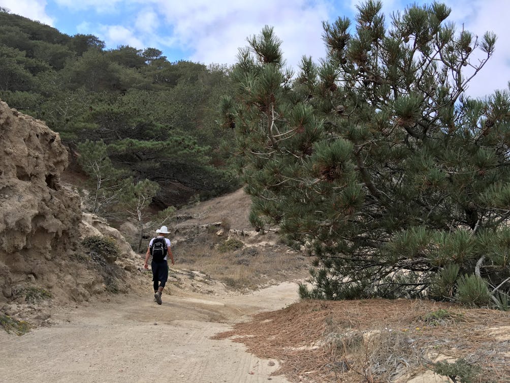 Epic Hikes of Santa Rosa Island