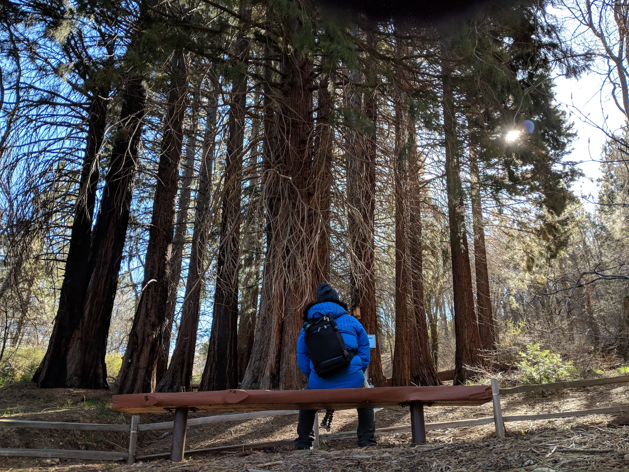 Heaps Peak Arboretum