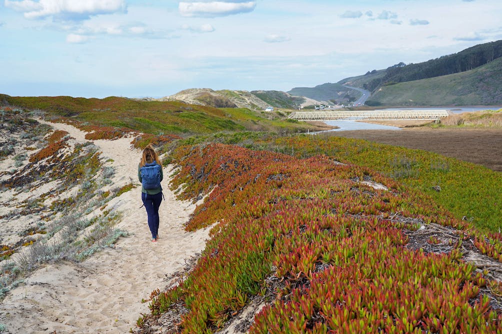 Woman hiking the sands next ice plant at Pescadero Marsh Preserve