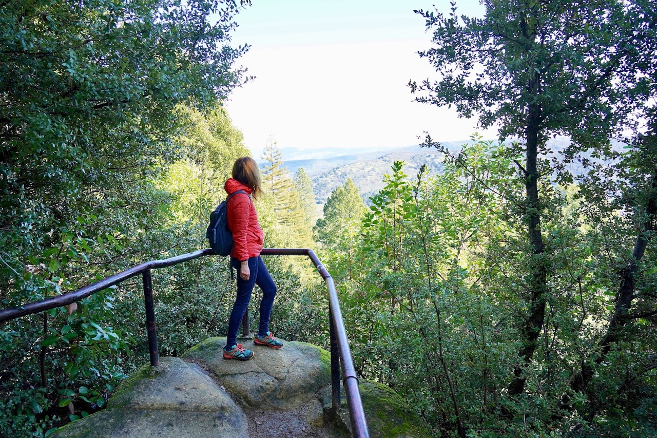 Hiking among redwoods in Napa 