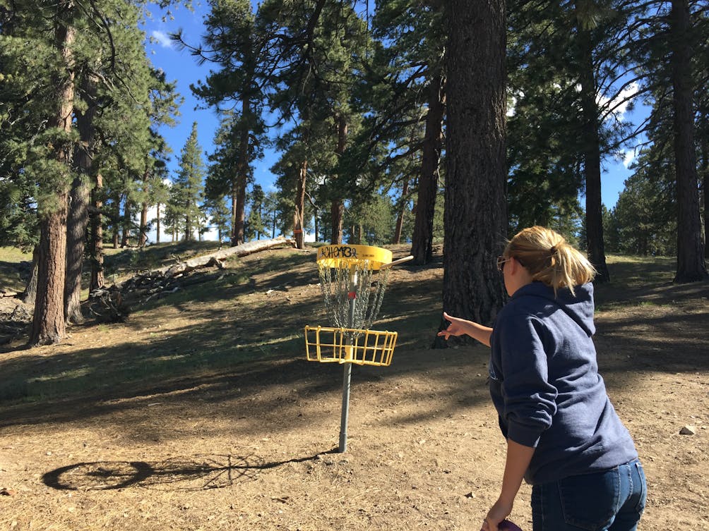 Sky High Disc Golf Weekend Sherpa