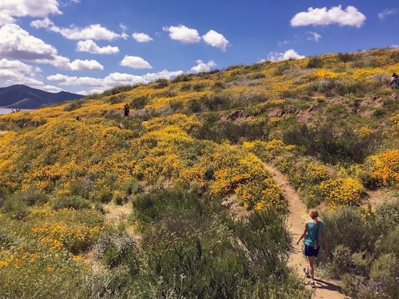 A woman on a hiking trail fringed in yellow wildflowers with San Diego County's Hemet Lake in the background and a mountain.