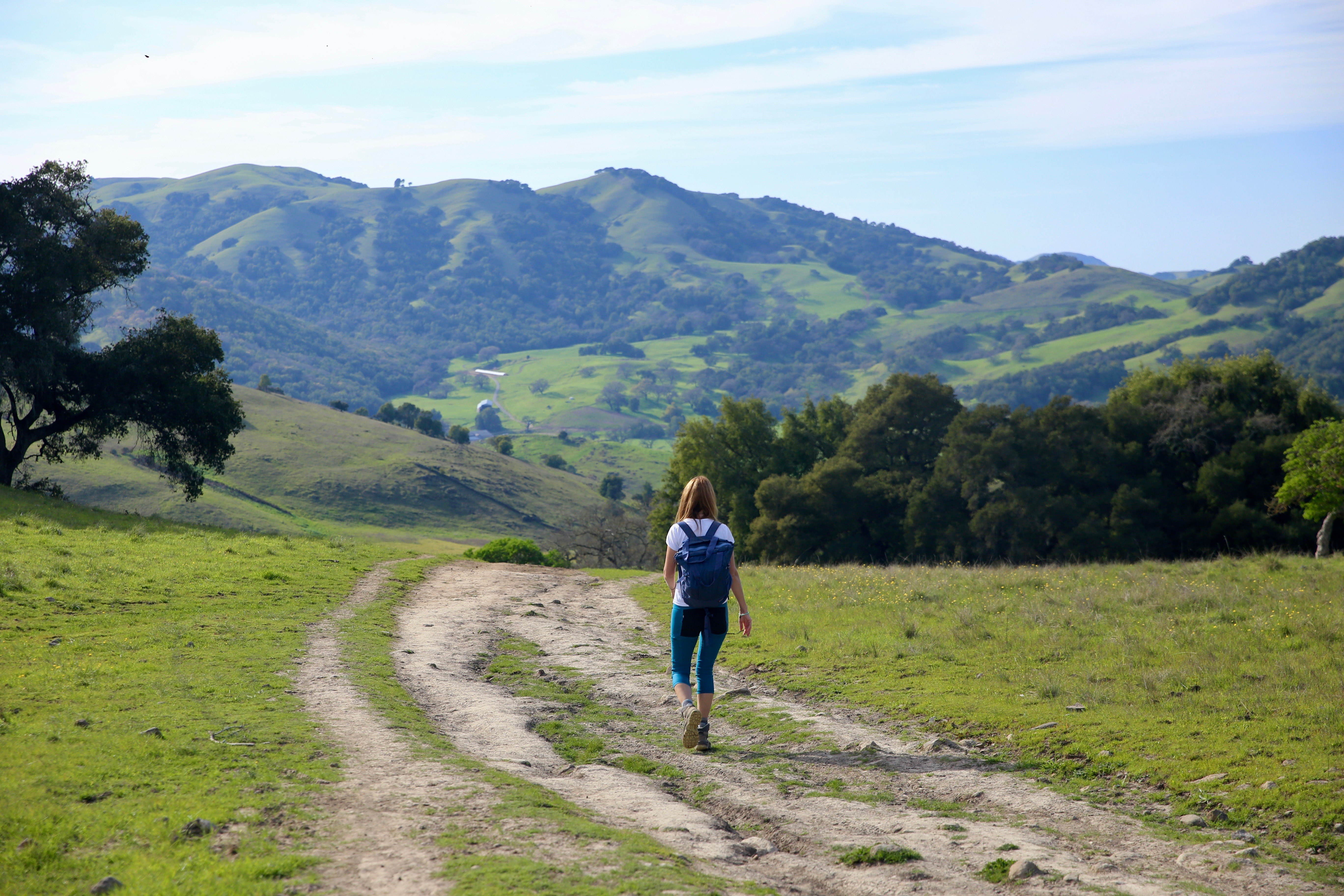 Hike Mount Burdell Marin County