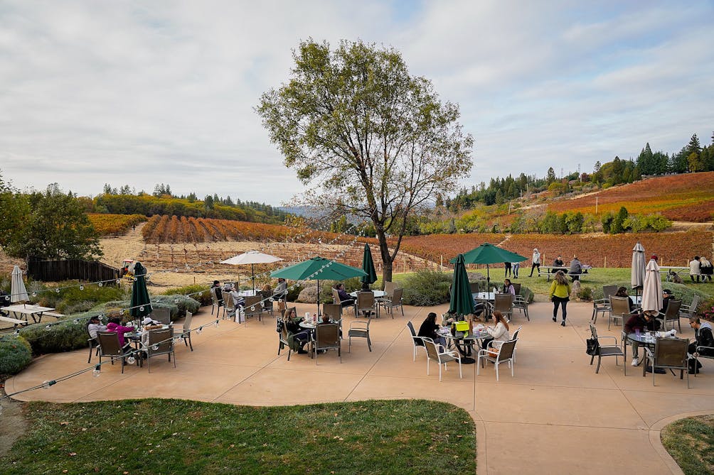 Lava Cap Winery Apple Hill Placerville