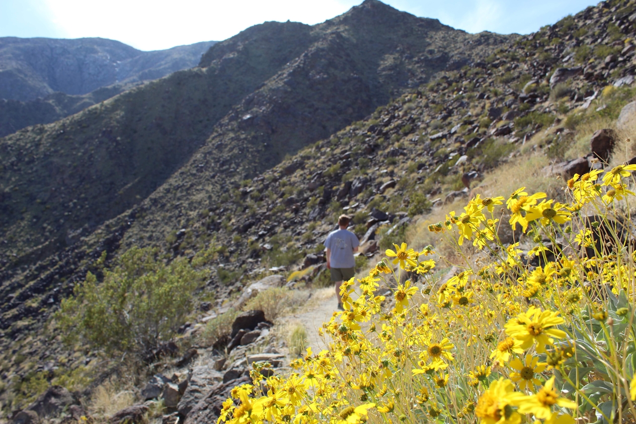 Hike Tachevah Canyon Rim to Rim San Jacinto mountain range