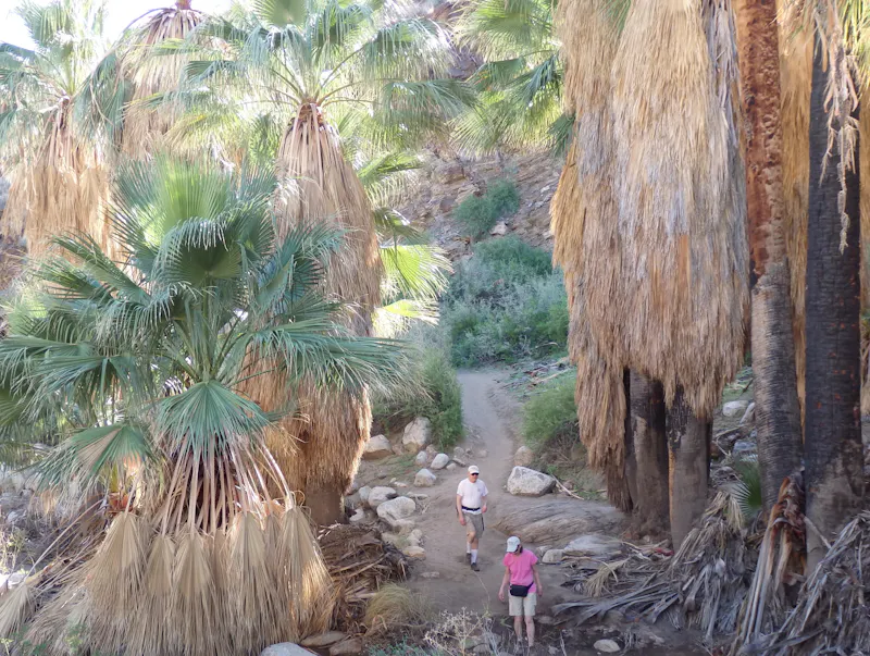 Coachella Kinda Day | Weekend Sherpa