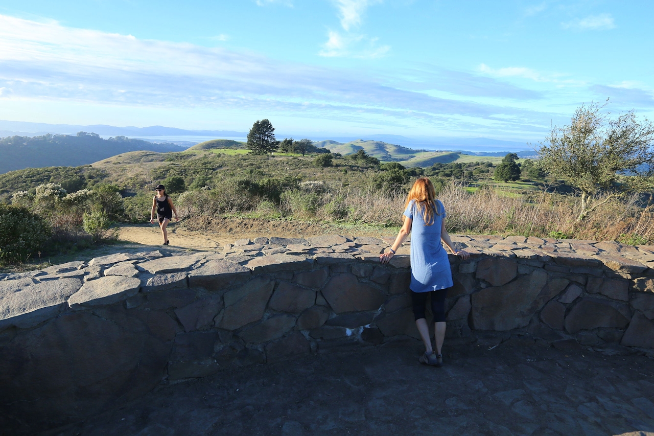 Wildcat Peak Hike in Tilden Regional Park 