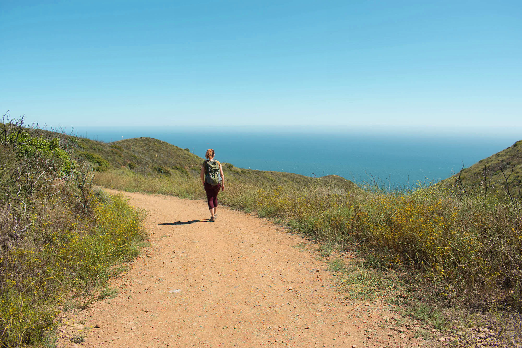 Hike Point Mugu Big Sycamore Canyon Loop Trail