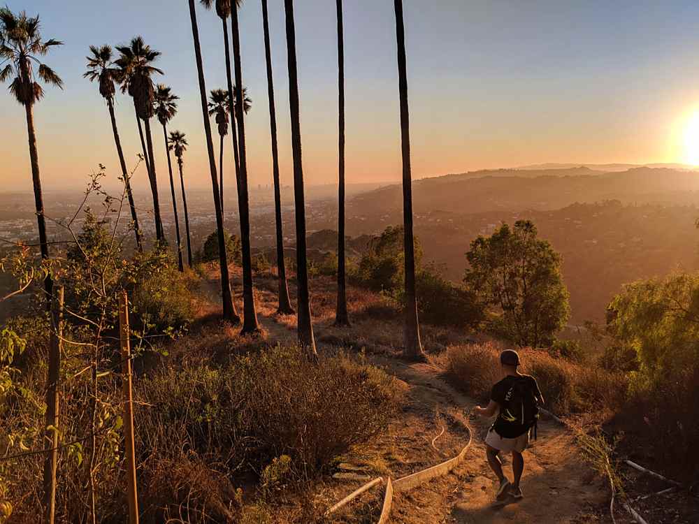 Man hiking a trail at Griffith Park in Los Angeles 