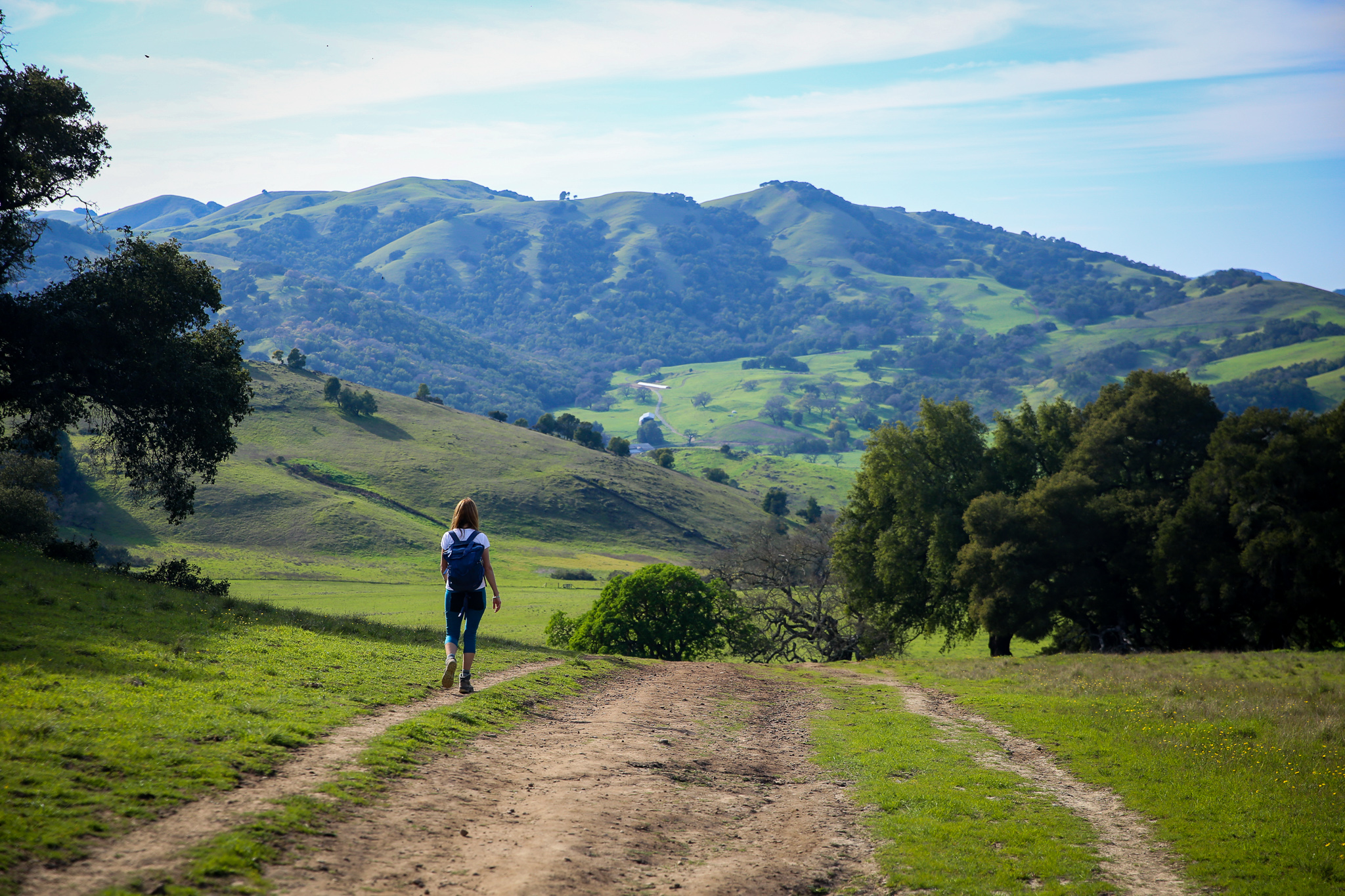 Hike Mount Burdell Preserve Marin
