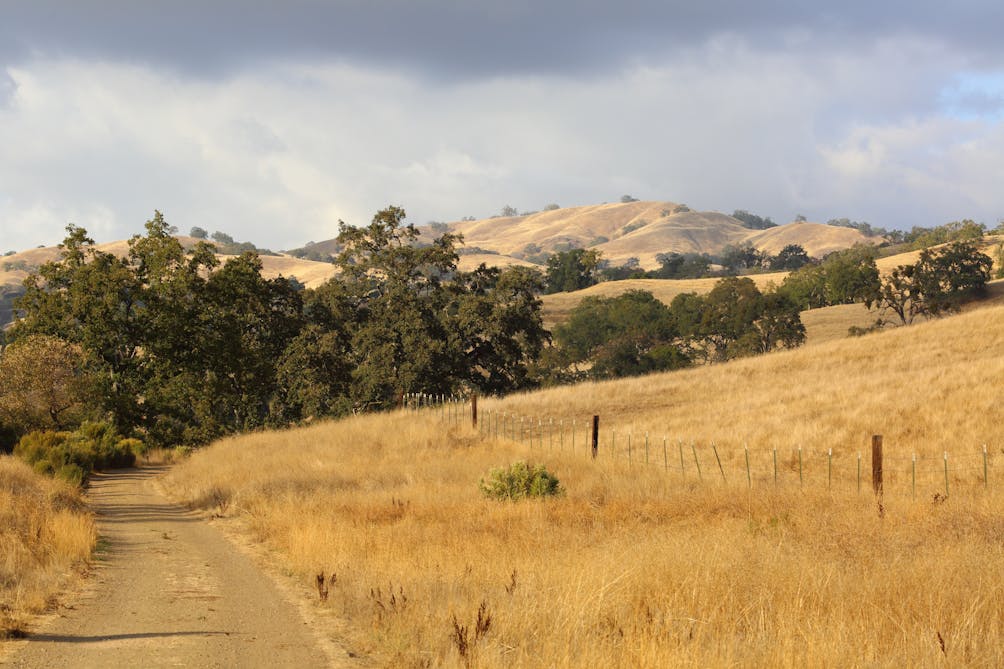 Santa Clara Valley From Joseph D. Grant Country Park, Santa Clara County,  California, USA. Silicon Valley From Mount Hamilton In Springtime, Filled  With California Poppies And Oak Woodland. Stock Photo, Picture and