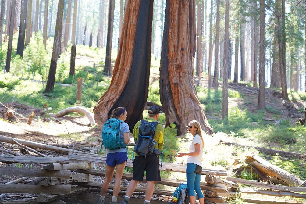 Wawona trails outlet