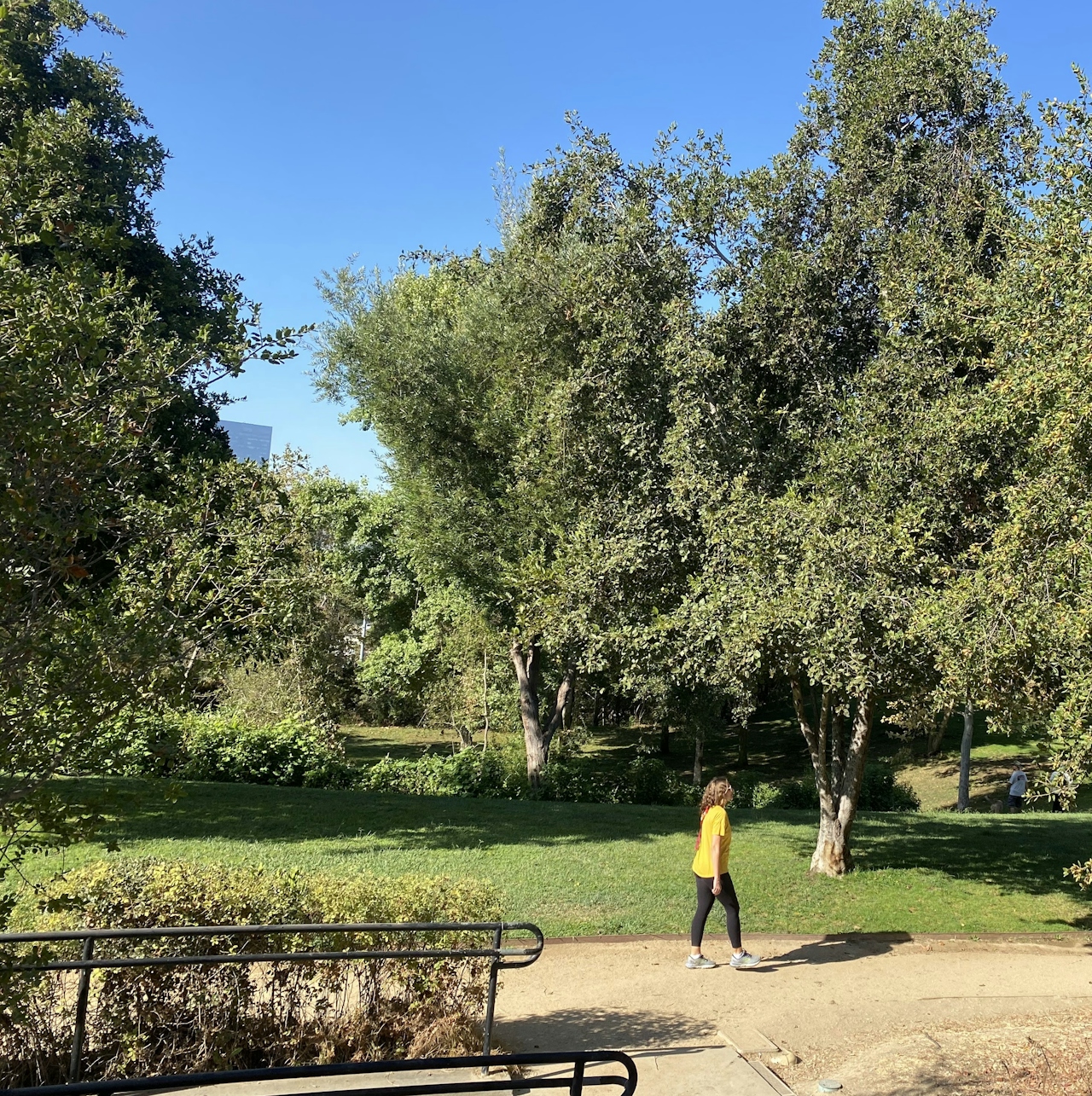 Woman walking a path among trees at Vista Hermosa Park in Echo Park Los Angeles