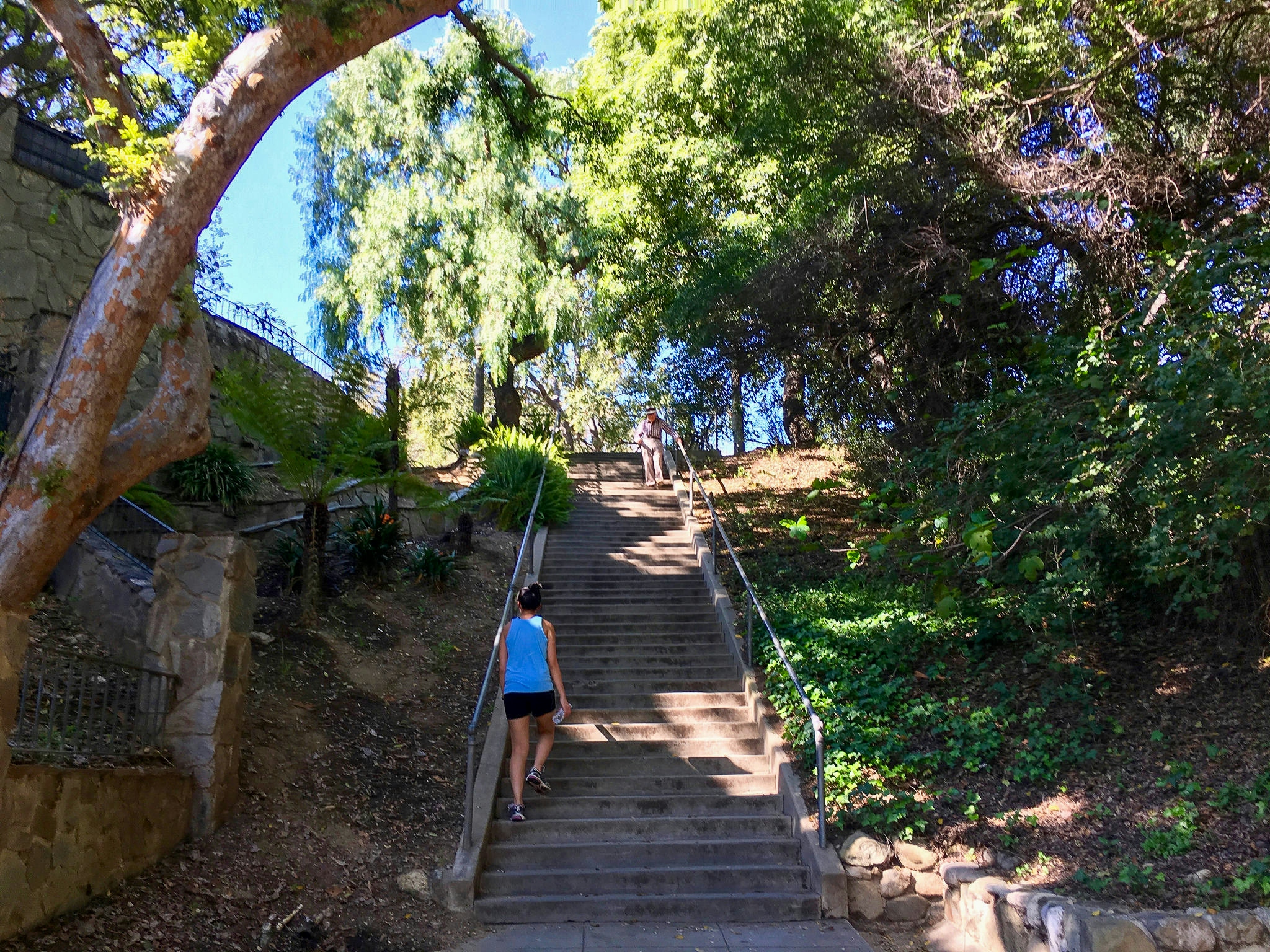Woman walking up a stairway surrounded by trees at Lacy Park in San Marino