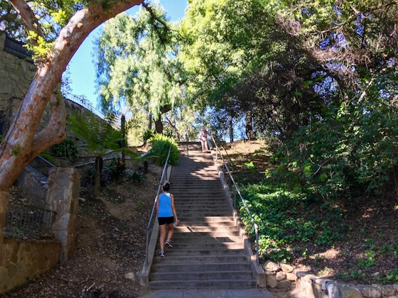 Woman walking up a stairway surrounded by trees at Lacy Park in San Marino