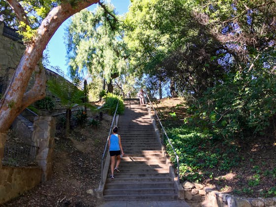 Woman walking up a stairway surrounded by trees at Lacy Park in San Marino 