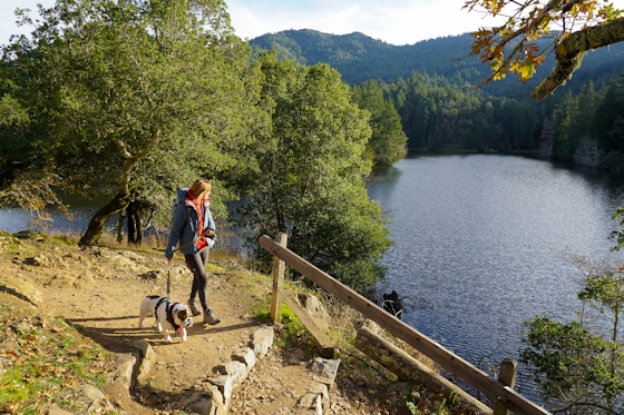 Woman and her dog walking by Lake Lagunitas