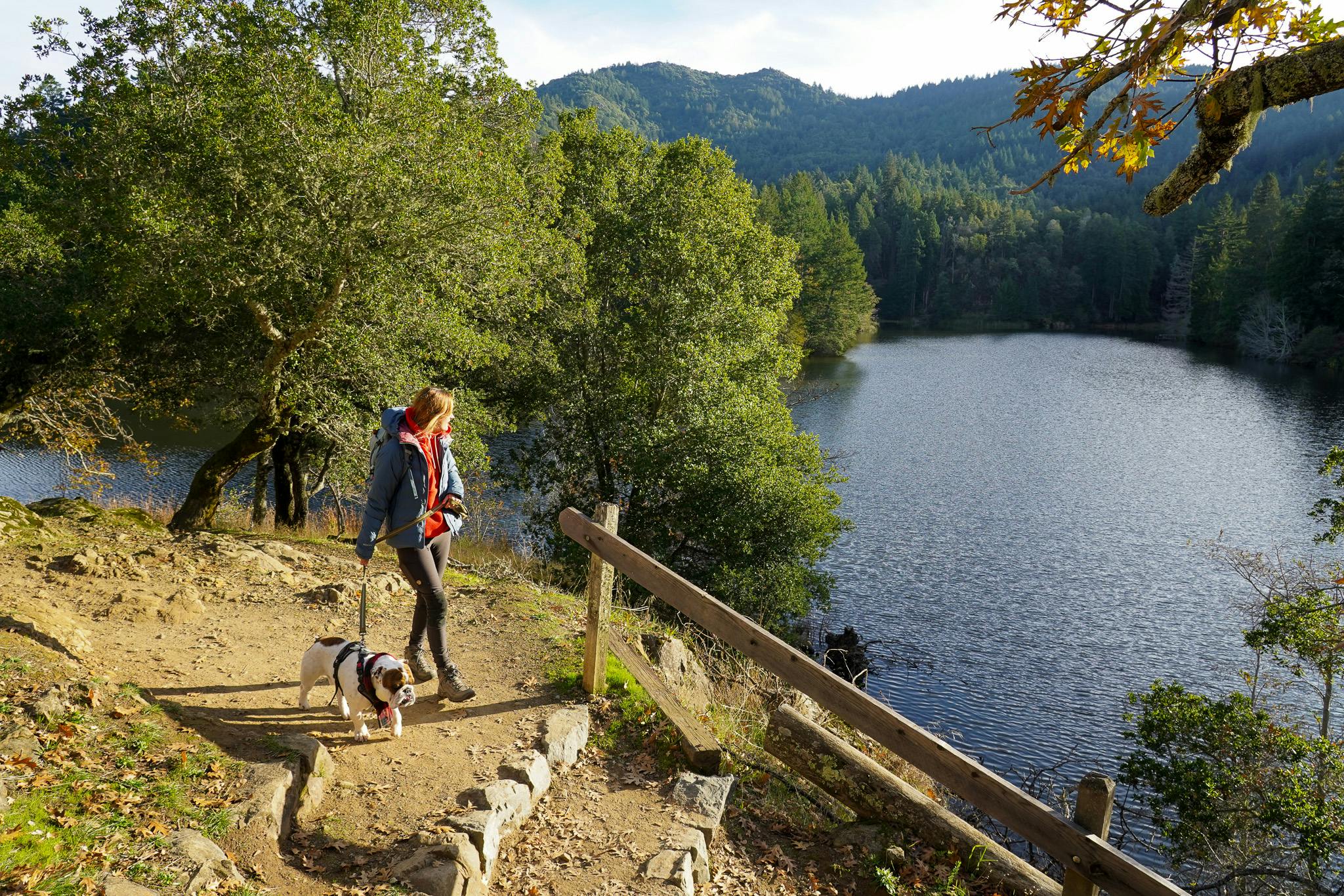 Woman and her dog walking by Lake Lagunitas 