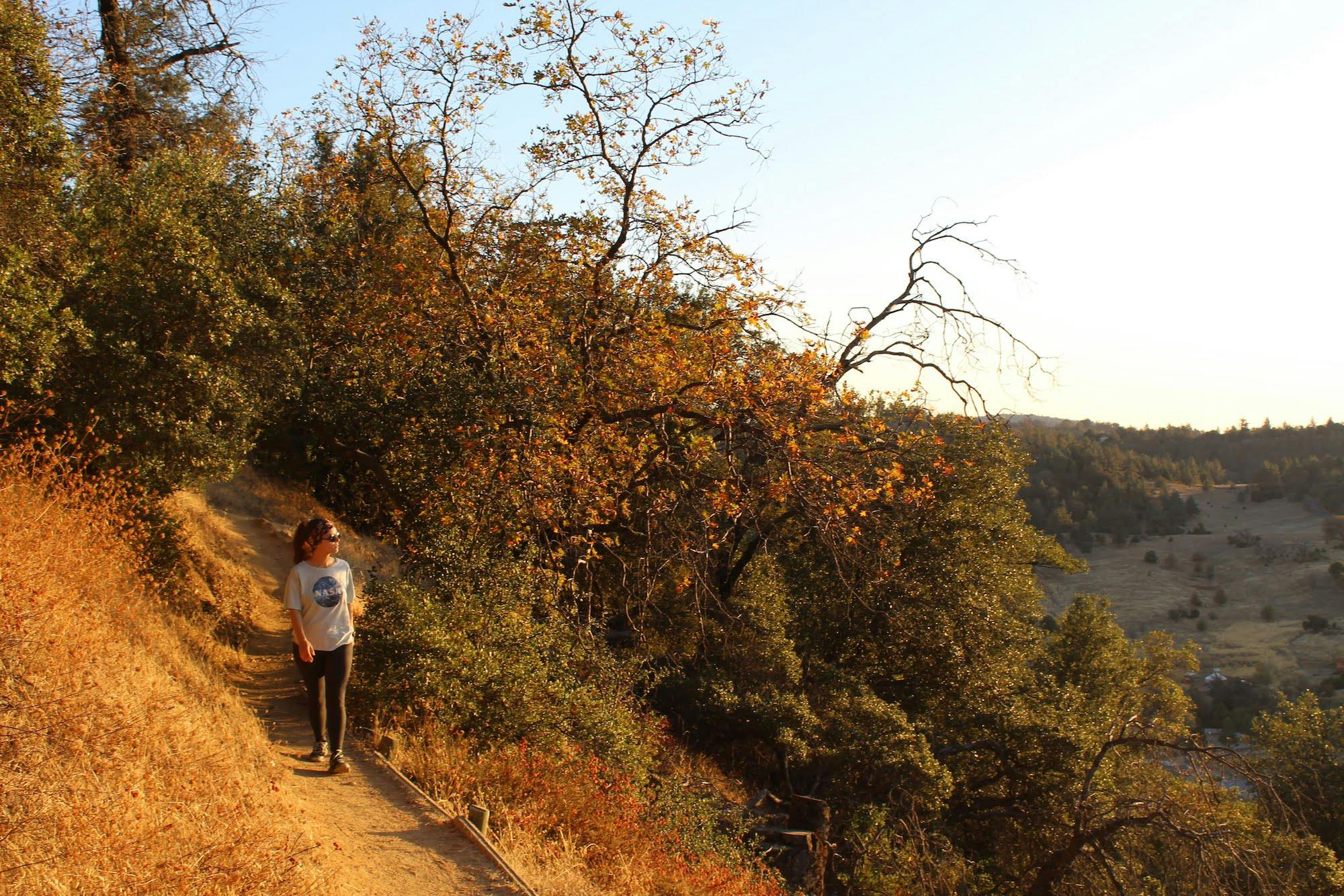 Woman walking on a hiking trail flanked by oaks at Volcan Mountain in San Diego. 