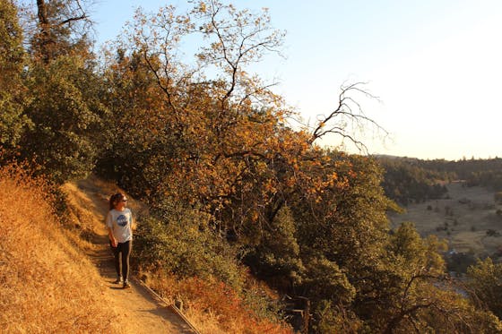 Woman walking on a hiking trail flanked by oaks at Volcan Mountain in San Diego. 