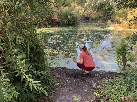 Woman kneeling by the creek at Chino Creek Wetlands