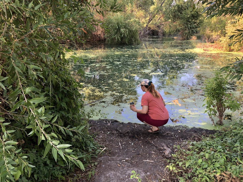 Woman kneeling by the creek at Chino Creek Wetlands