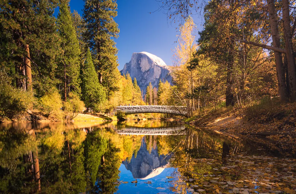 Autumn Magic in Yosemite Mariposa County