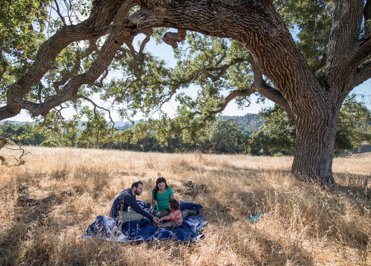 POST S 2024 Hiking Calendar Weekend Sherpa   A0a13032 D449 41ce B417 E20496f83e06 Arastradero Creek Loop Teddy Miller 2 Copy 