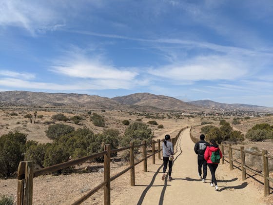 Group of four friends enjoying wine at Thief and Barrel in Palmdale Antelope Valley