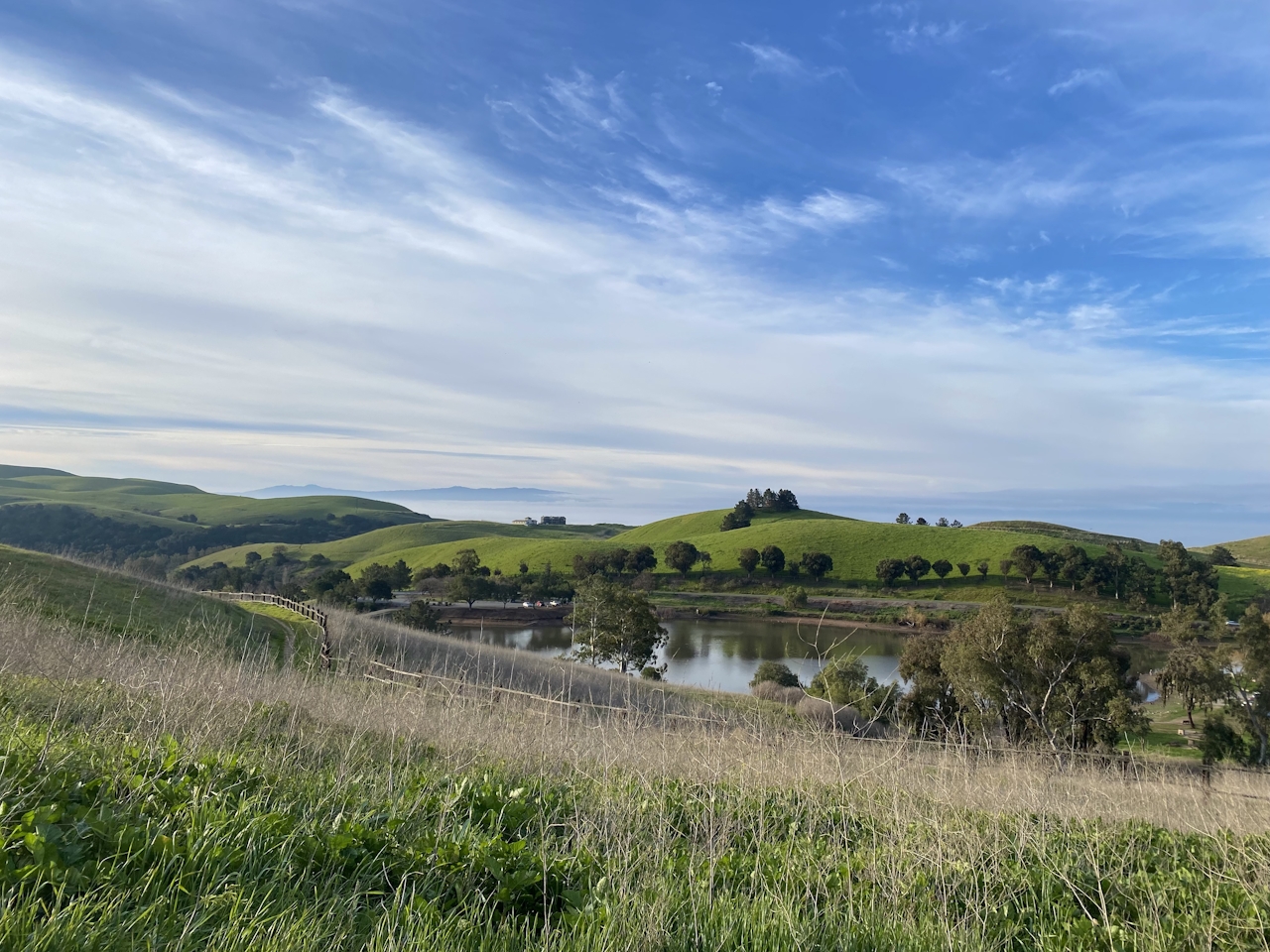 Lake at Ed R Levin County Park in the East Bay 