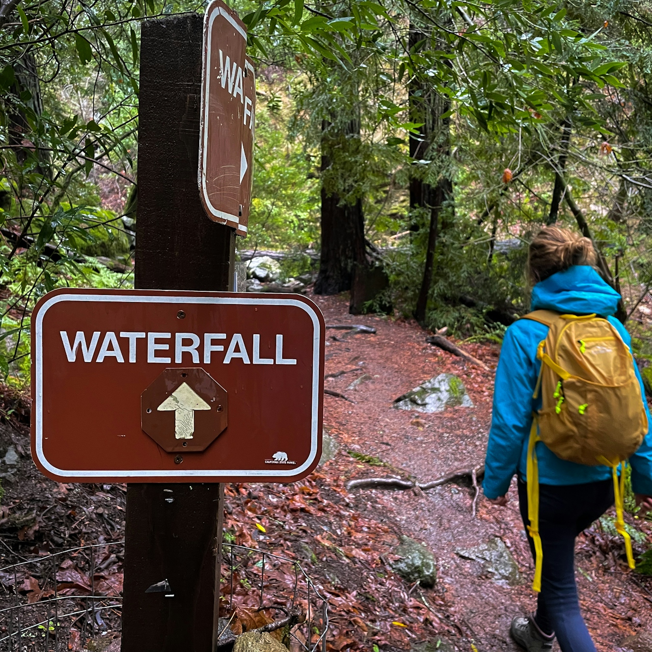 Waterfall hike in Sugarloaf Ridge State Park