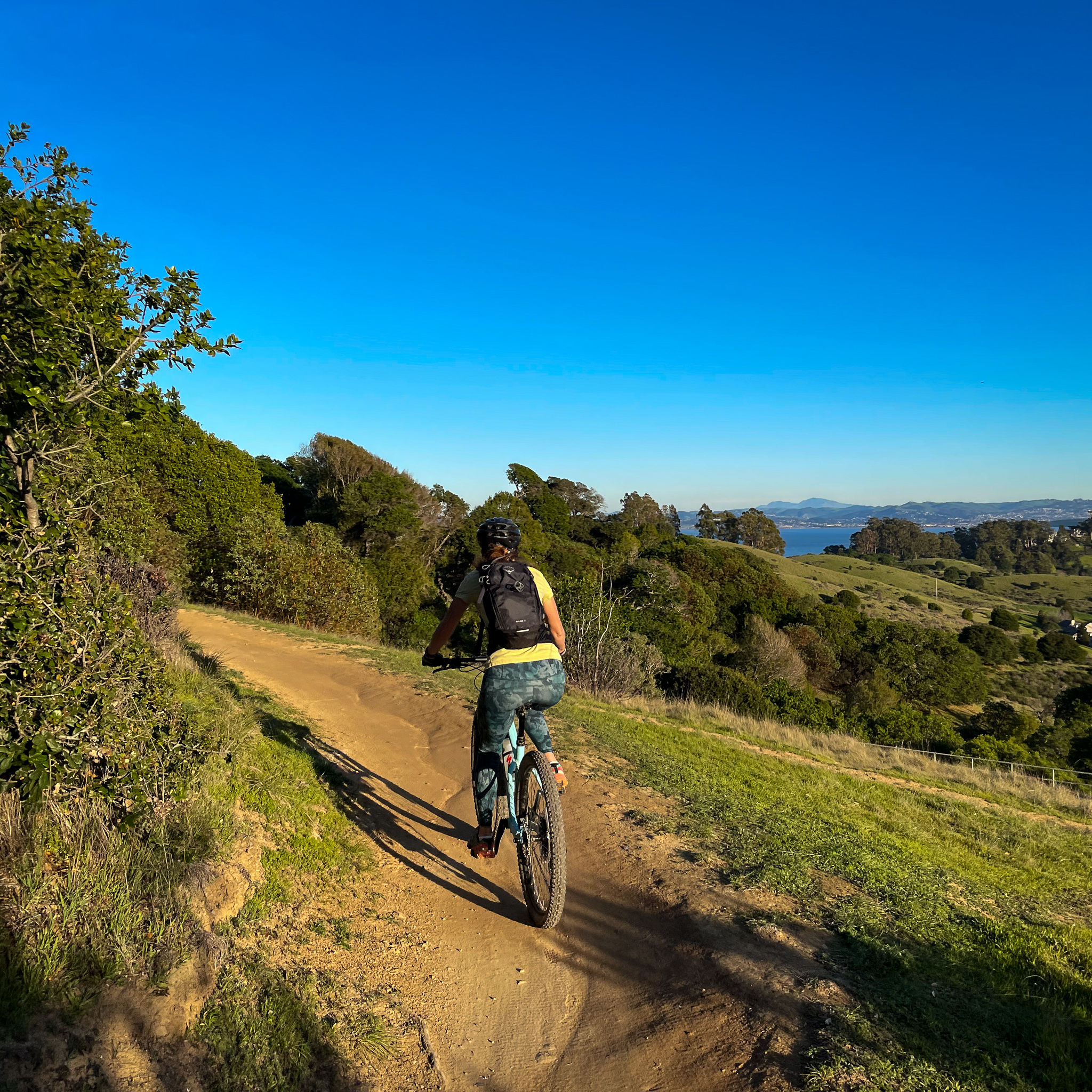 China camp state park best sale mountain biking