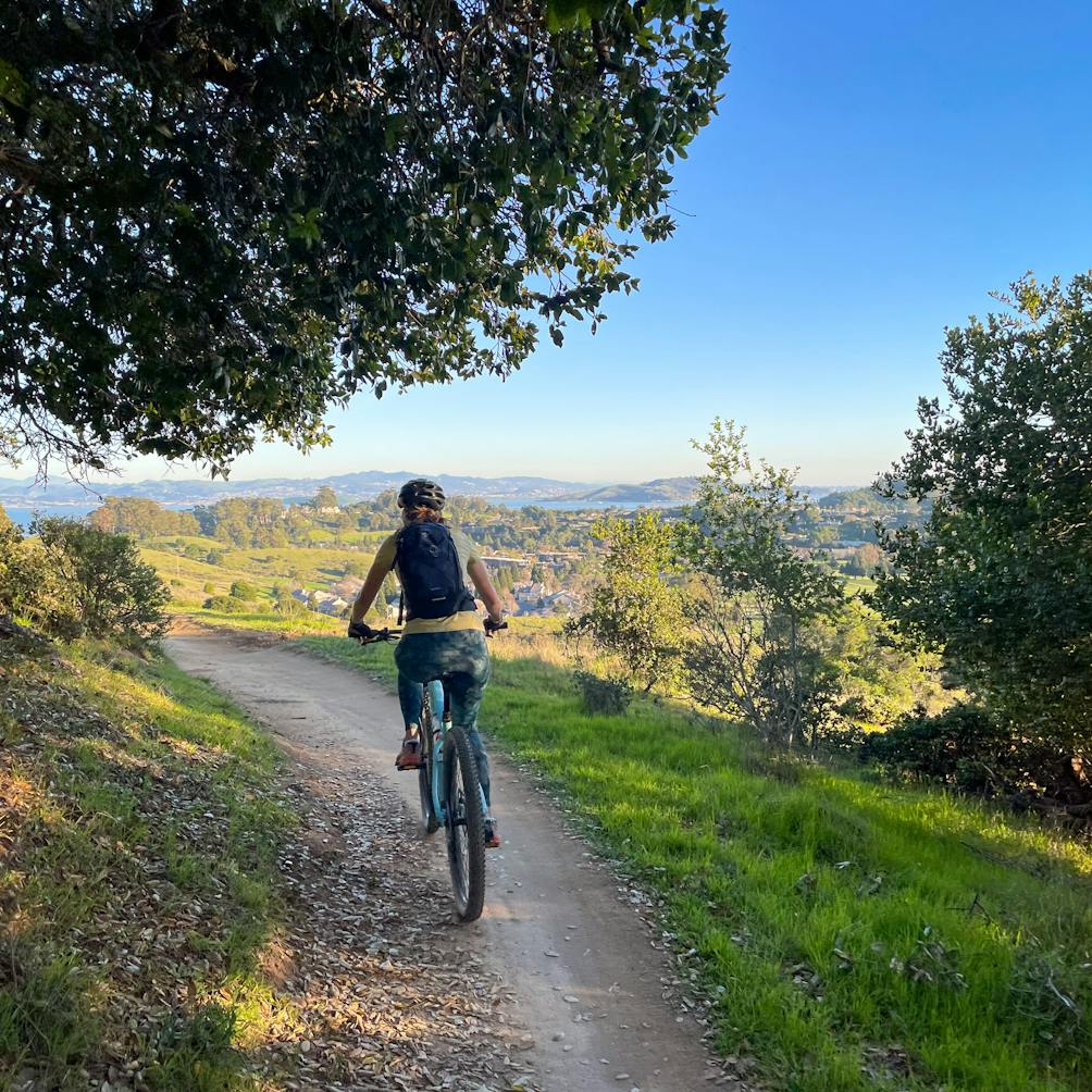 Mountain biker on a trail at China Camp State Park 