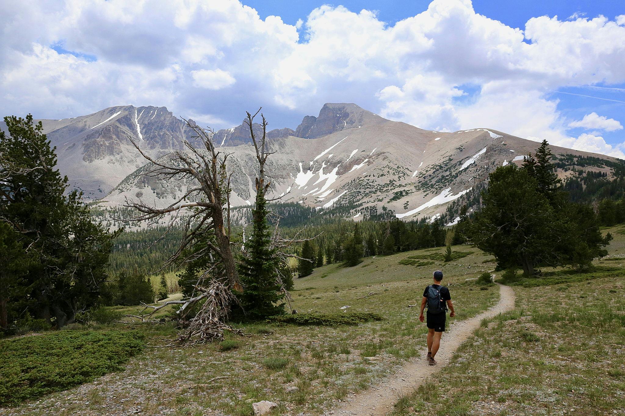 Person hiking in a grassy meadow towards Wheeler Peak mountain in the distance at Great Basin National Park in Nevada
