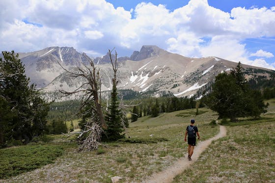 Person hiking in a grassy meadow towards Wheeler Peak mountain in the distance at Great Basin National Park in Nevada