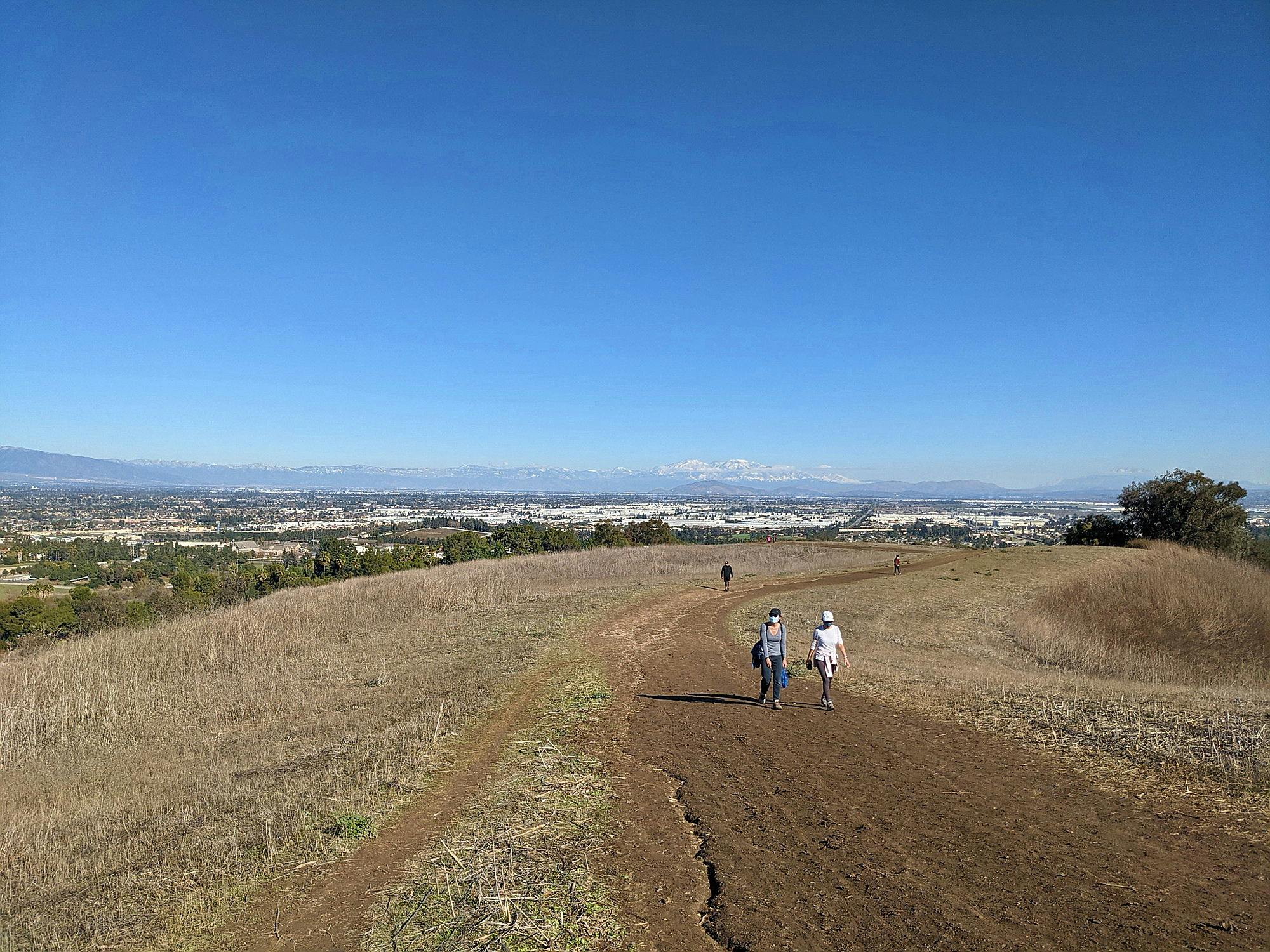 are dogs allowed at chino hills community park