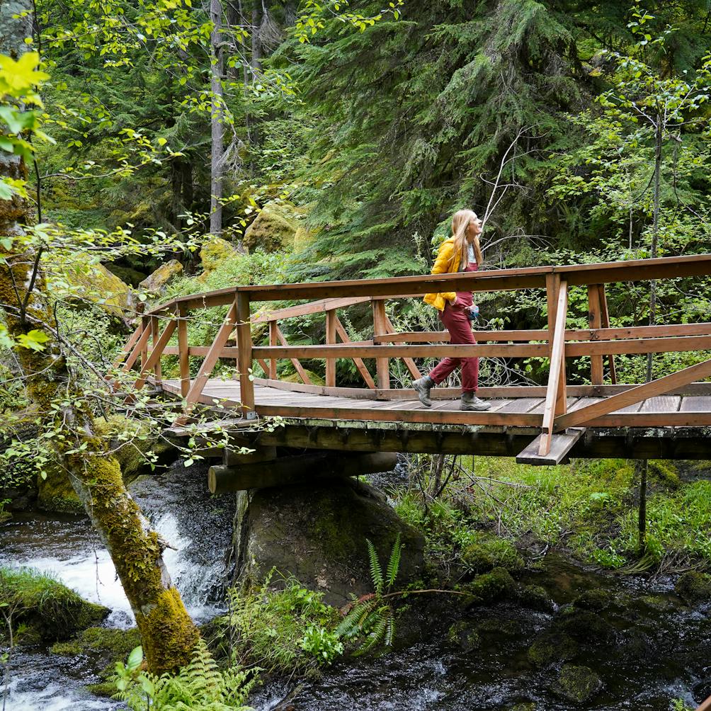 A hiker crosses a bride enroute to Watson Falls in Southern Oregon 