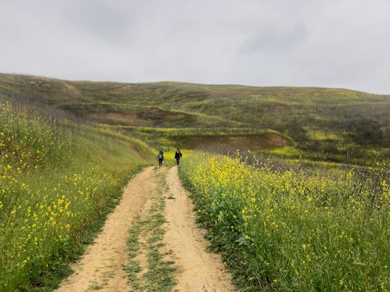 Hikers at Bane Canyon Loop trail in Chino Hills State Park 