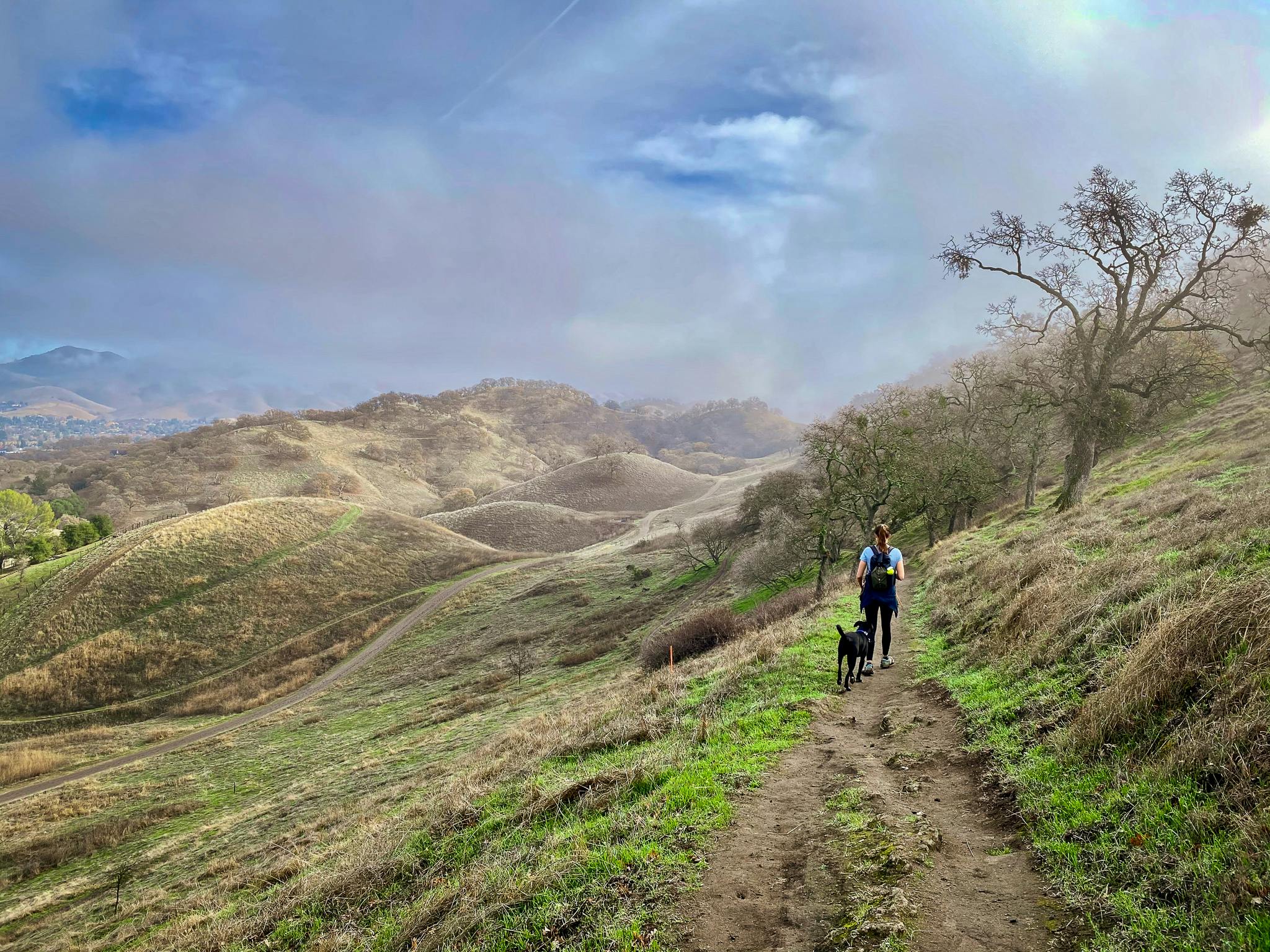 Woman hiking Shell Ridge Open Space in the East Bay