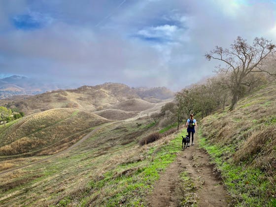 woman hiking Shell Ridge Open Space in the East Bay