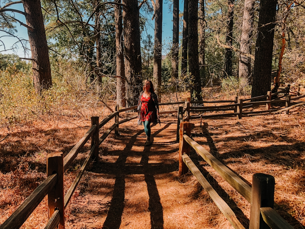 Hiker amid trees at Oak Glen Preserve in Yucaipa Southern California