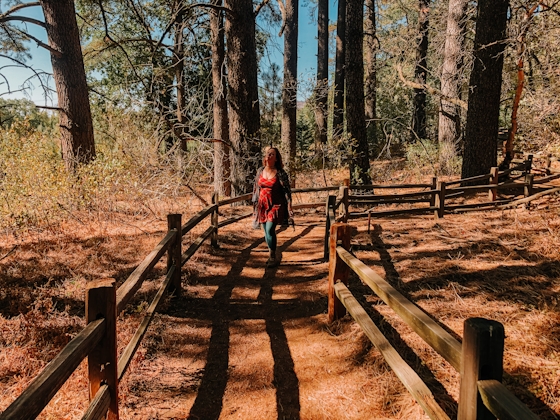 Hiker amid trees at Oak Glen Preserve in Yucaipa Southern California