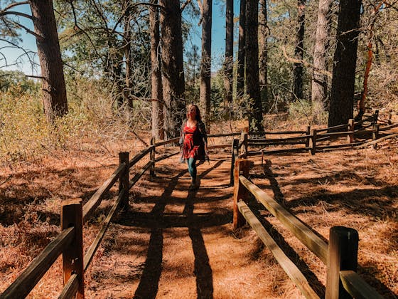 Hiker amid trees at Oak Glen Preserve in Yucaipa Southern California
