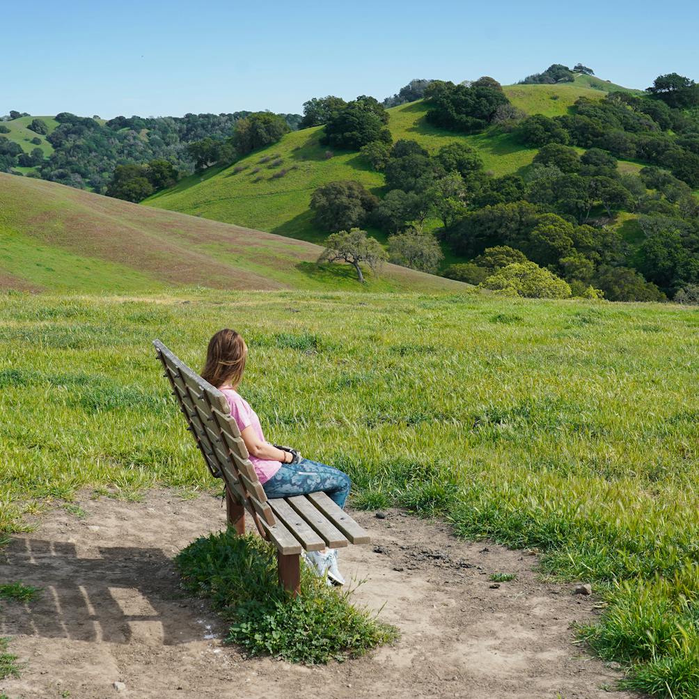 Person sitting on a bench overlooking rolling hill scenery at Fernandez Ranch in Martinez