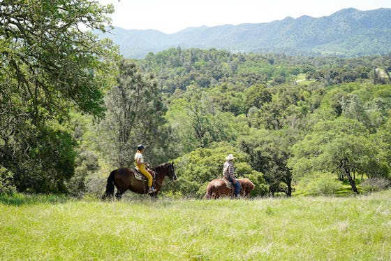 People on a guided horseback tour with Central Coast Trailrides at Santa Margarita Ranch near Paso Robles