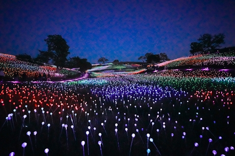 Field of Light at Sensorio in Paso Robles