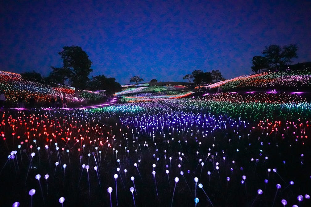 Field of Light at Sensorio in Paso Robles