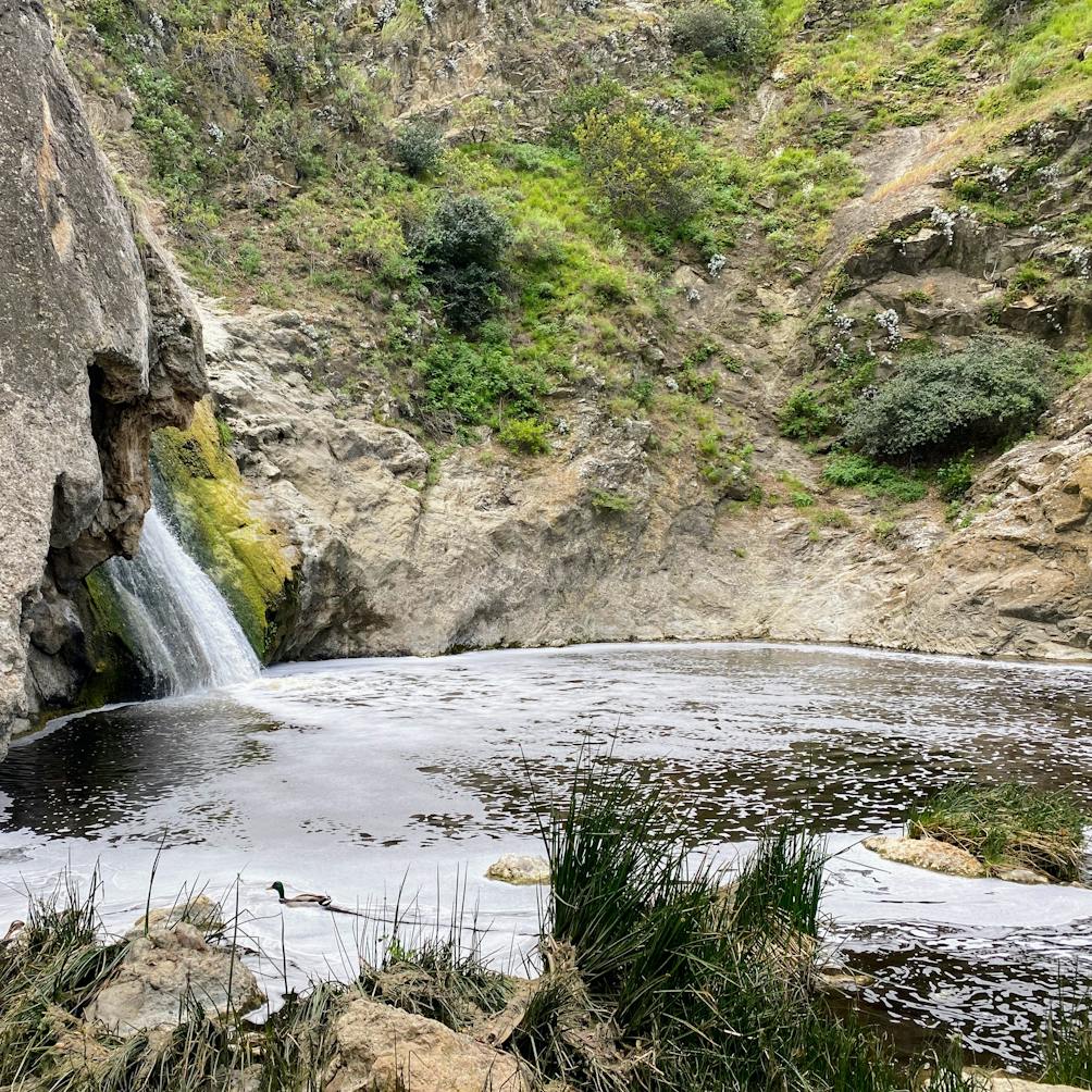 A waterfall lands in a grotto at Wildwood Park in Thousand Oaks