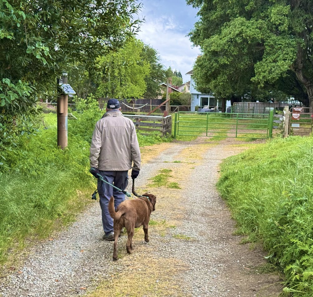 A person and their dog walking the Chabot to Garin Trail in the East Bay at Cull Canyon Regional Recreation Area 